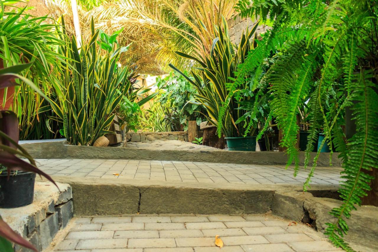 Pousada Quinta Ribeirinha Cidade Velha Exteriér fotografie
